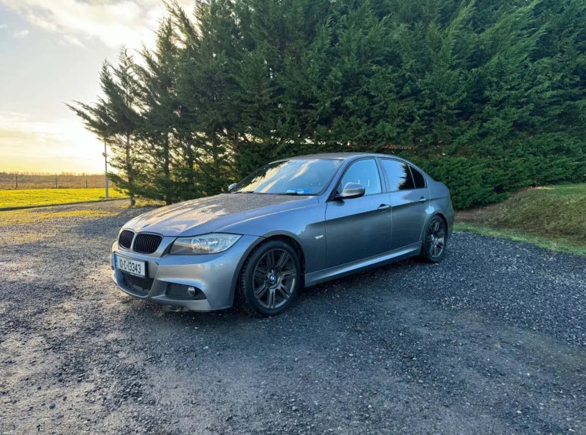 BMW 318d Msport - Image 2
