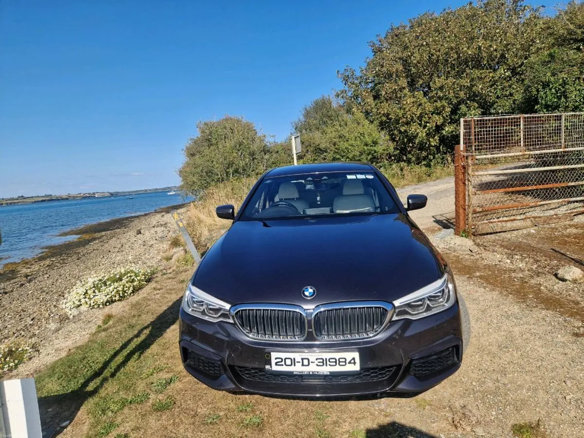 BMW 530e - Image 6