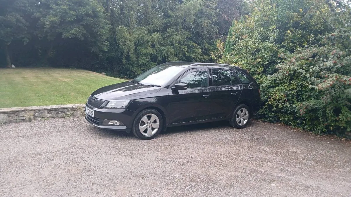 Skoda fabia low mileage - Image 2