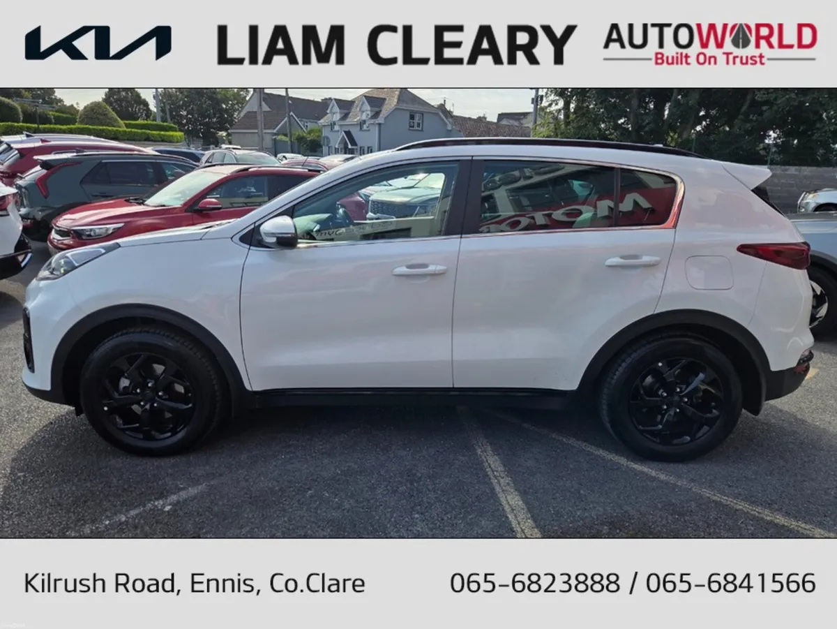 Kia Sportage K3 MHEV SPEC SPECIAL ED 5DR - Image 6