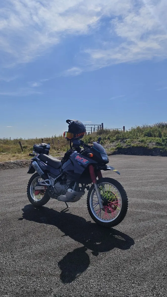 Kawasaki kle500 - Image 2