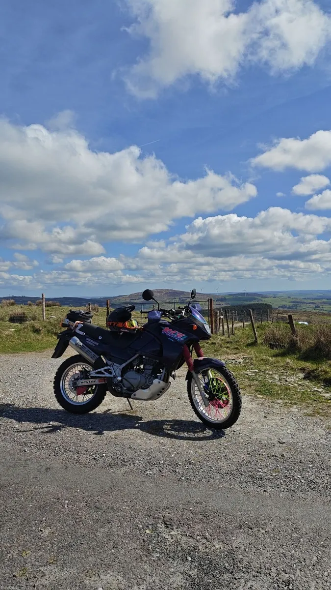 Kawasaki kle500 - Image 3