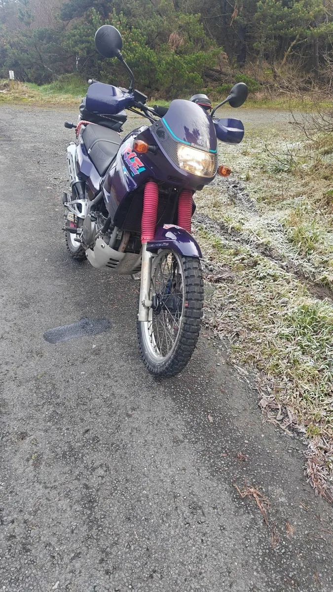 Kawasaki kle500 - Image 5
