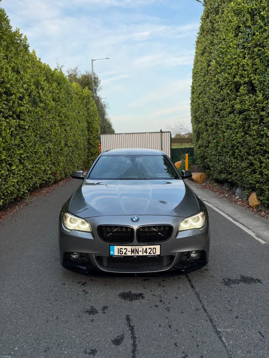 2016 BMW 5 SERIES M SPORT AUTO - Image 2