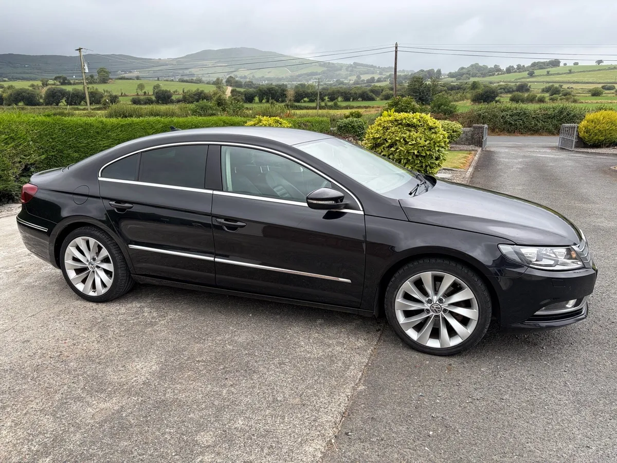 2015 Passat CC 2.0 Litre - Image 2