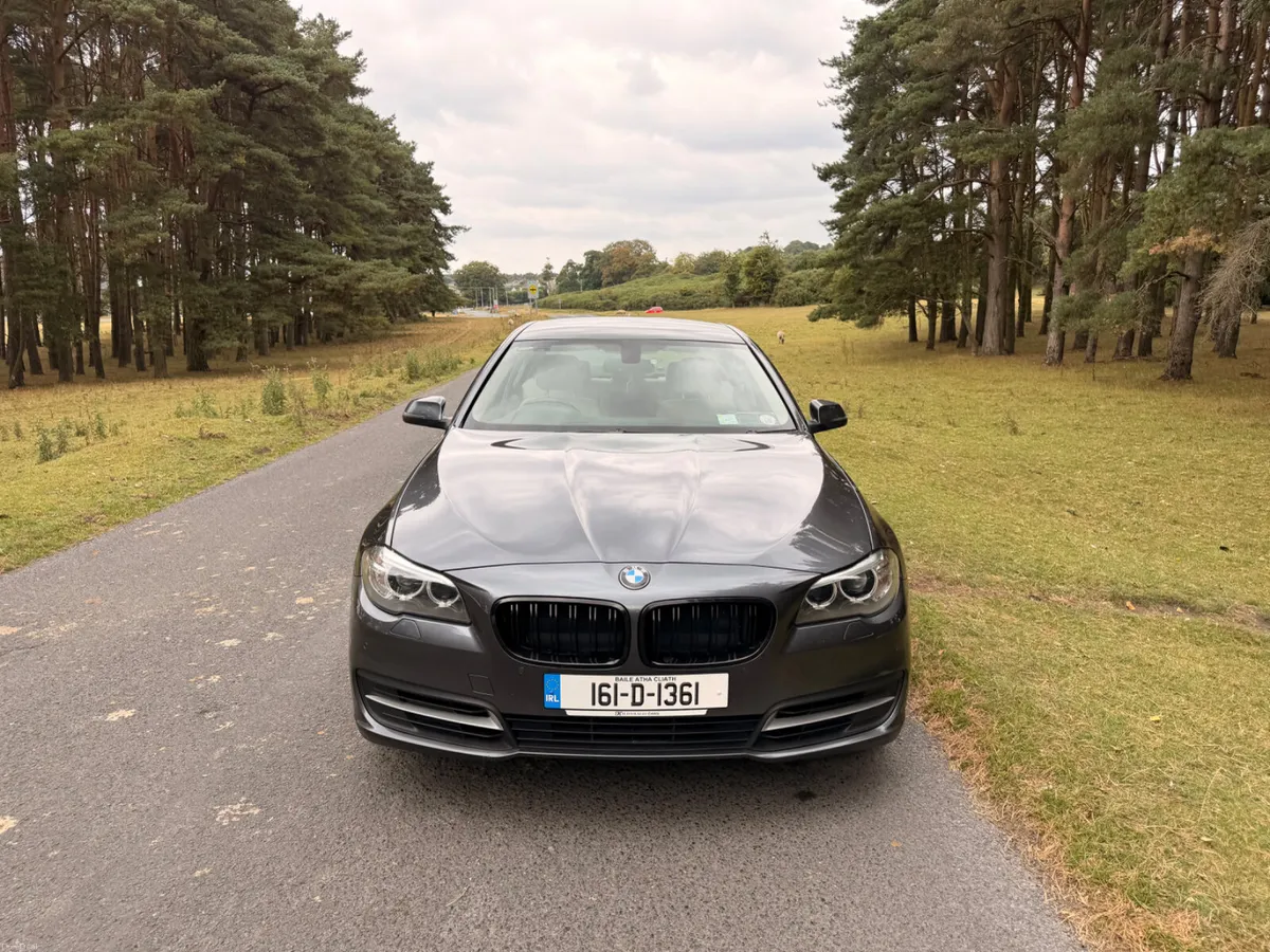 BMW 5-Series 2016 Diesel Automatic - Image 2
