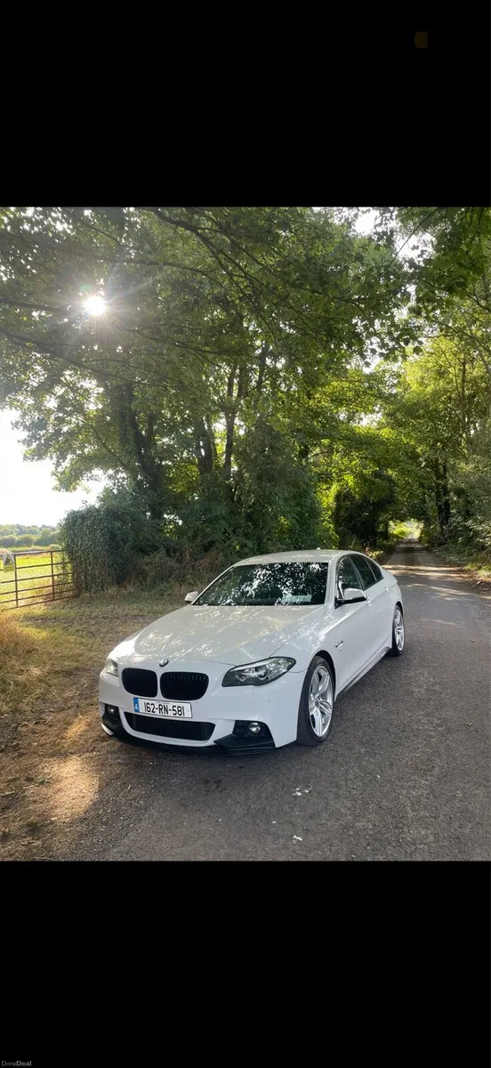 2016 BMW 520d M-Sport Auto - Image 6