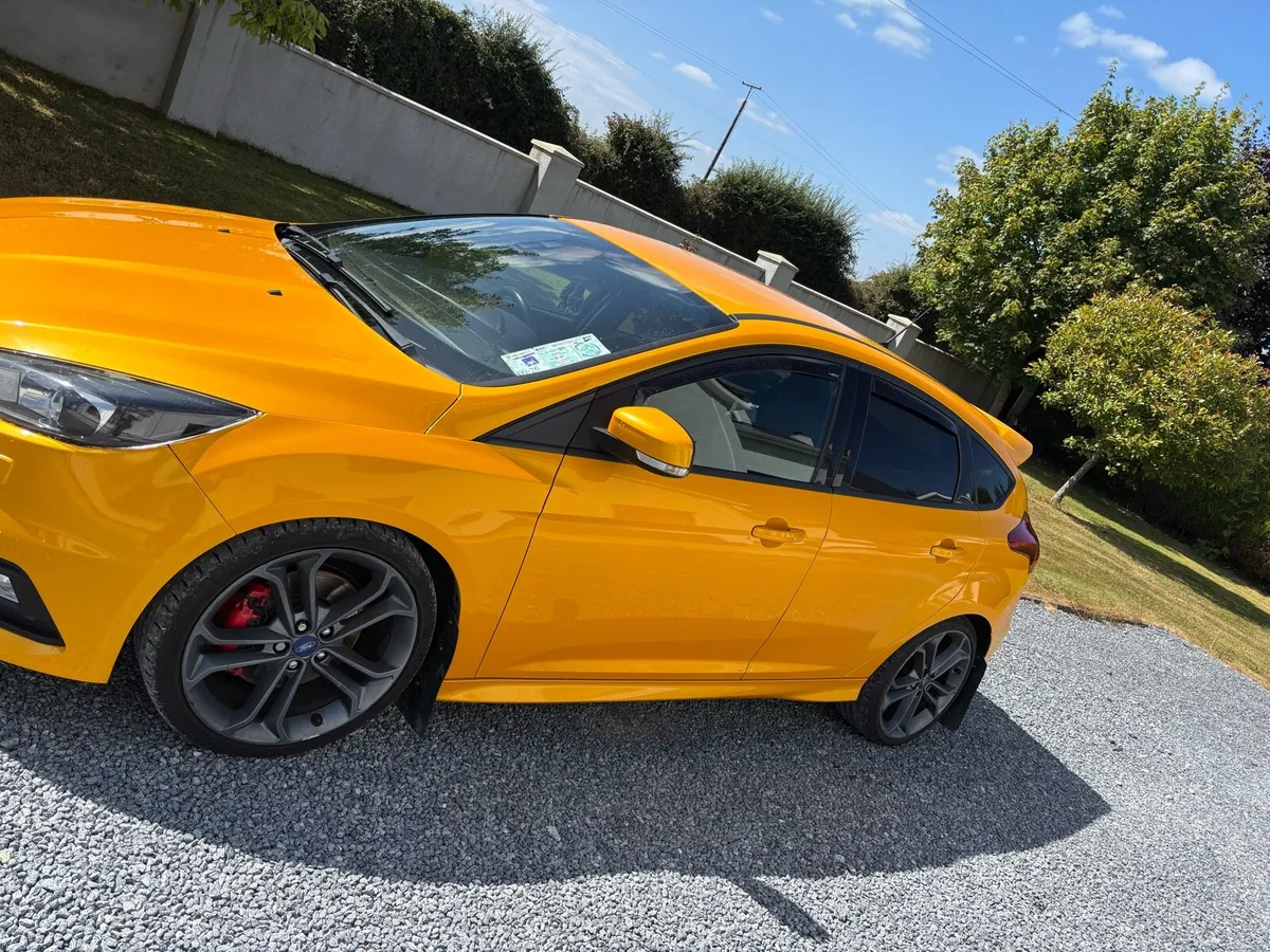 Focus st - Image 2