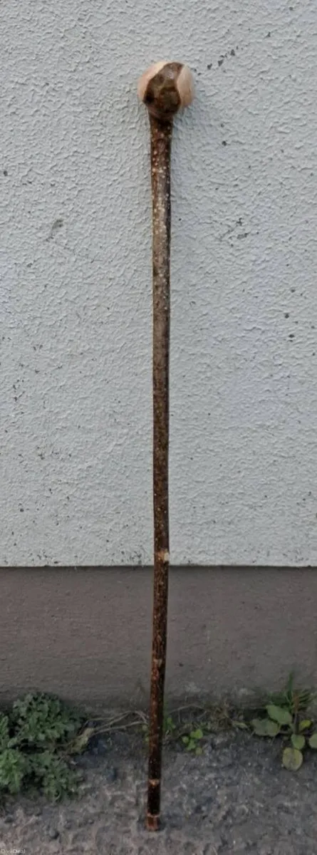 Walking stick hazal and blackthorn - Image 3