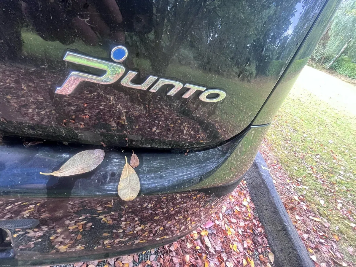 Fiat Punto - Image 6