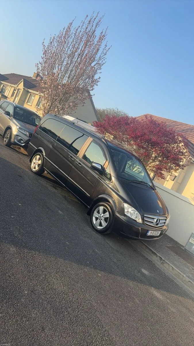 Mercedes Viano - Image 4