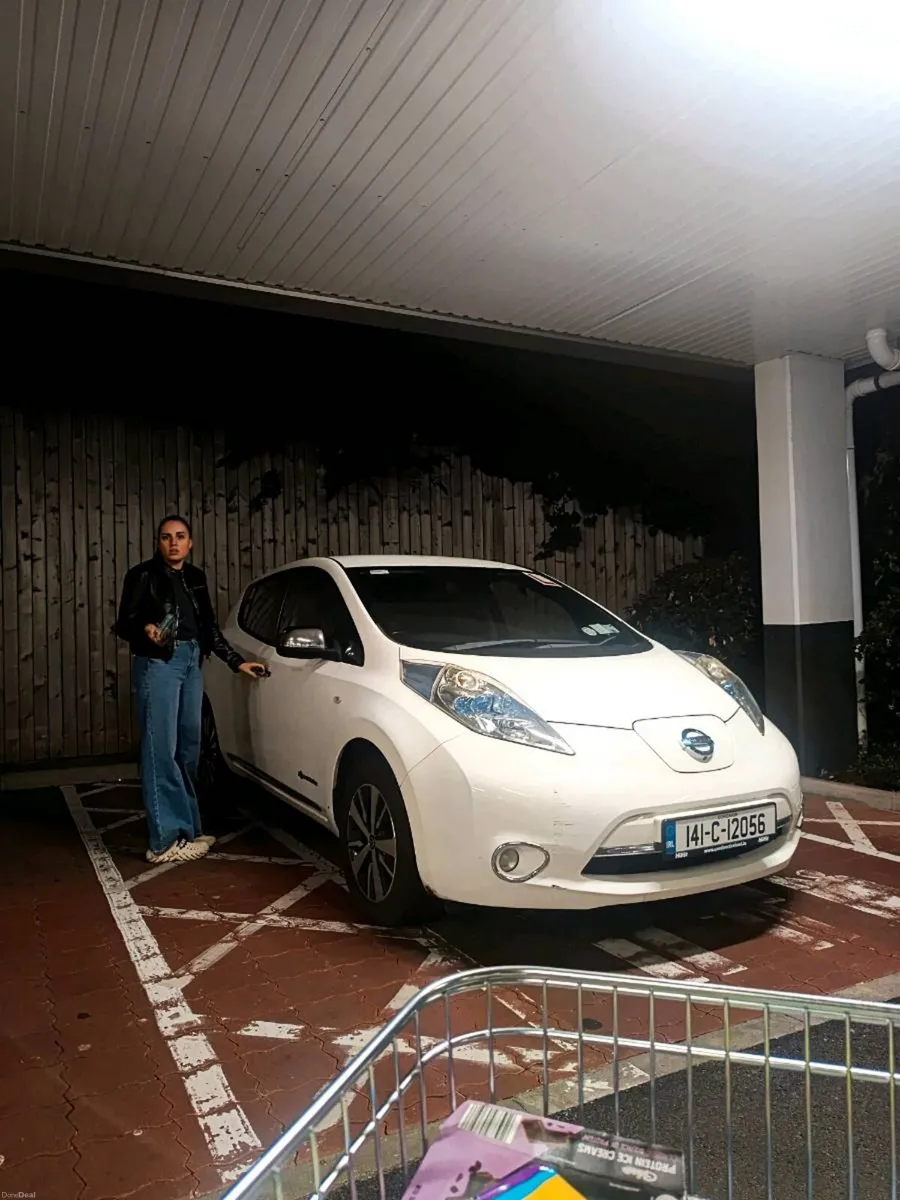 2014 Nissan Leaf - Image 4