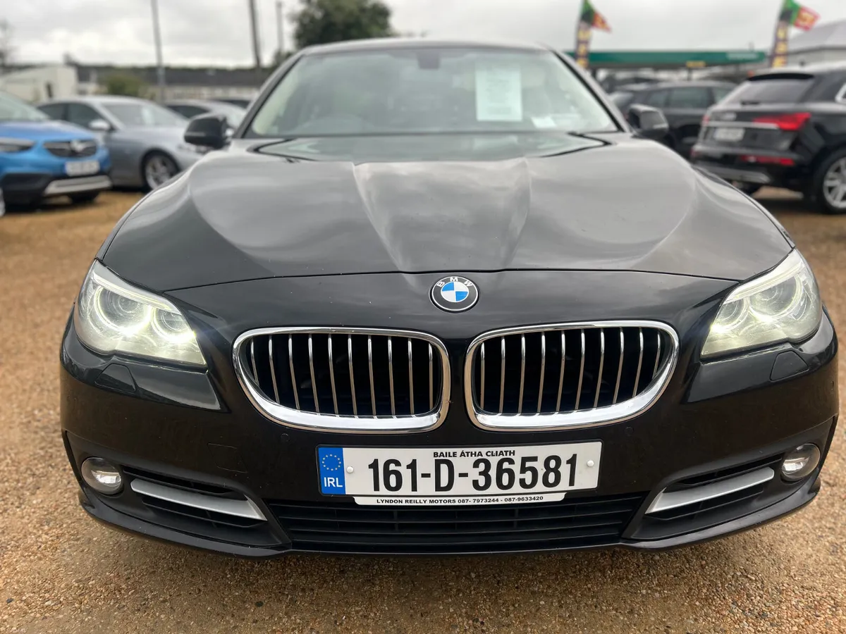 BMW 520D SE - Image 2