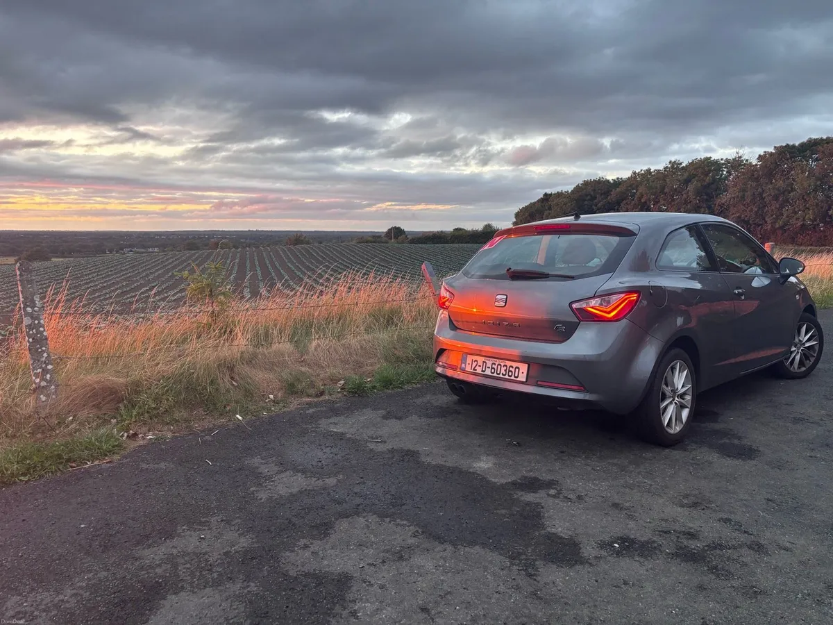 SEAT Ibiza FR 2012 - Image 1