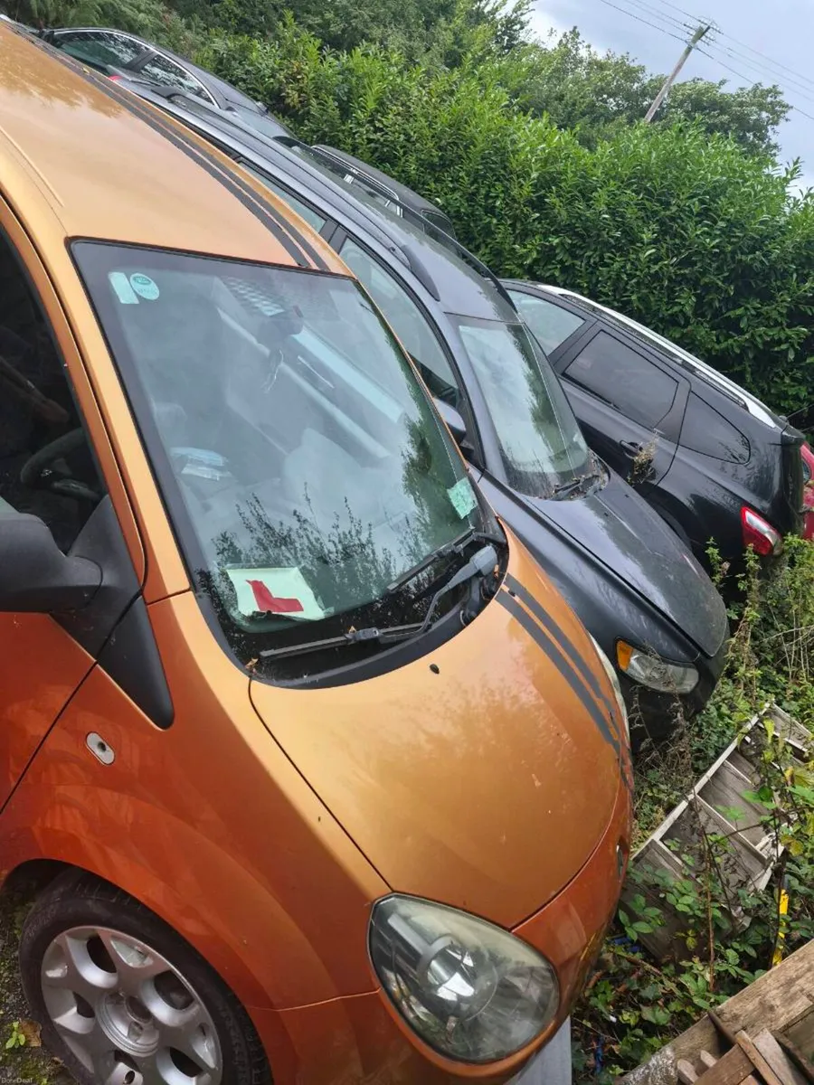 Renault Twingo Royale 2008 - Image 2