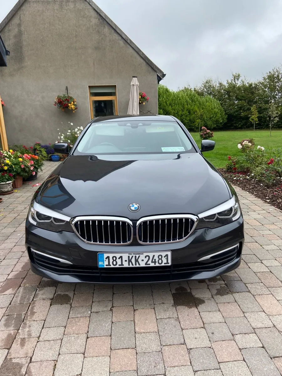 BMW 530E 2018 - Image 6