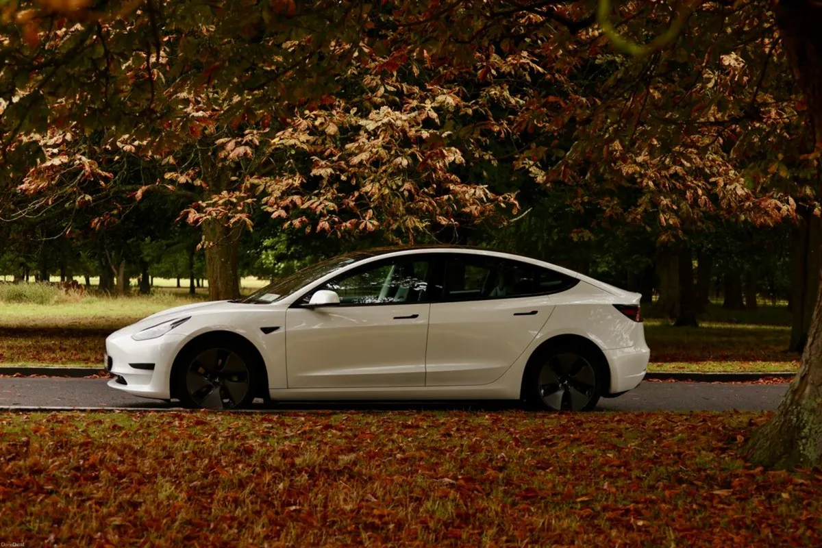 Tesla Model 3 RWD - Image 2