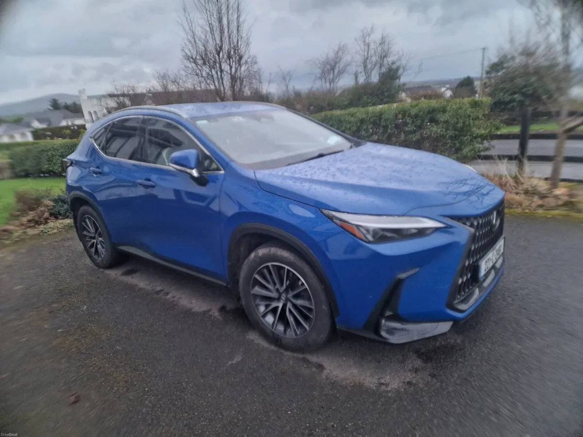Lexus NX450h+ Plugin Hybrid - Image 6