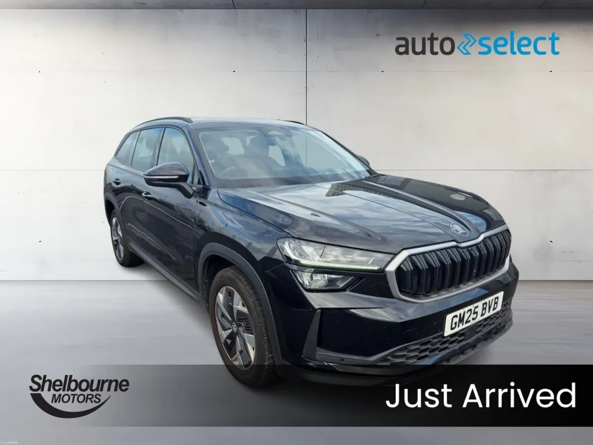 Skoda KODIAQ SE TSI DSG - Image 1