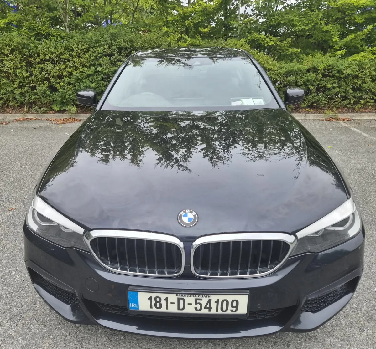 BMW 5-Series M-sport / Petrol/plug-in - Image 2