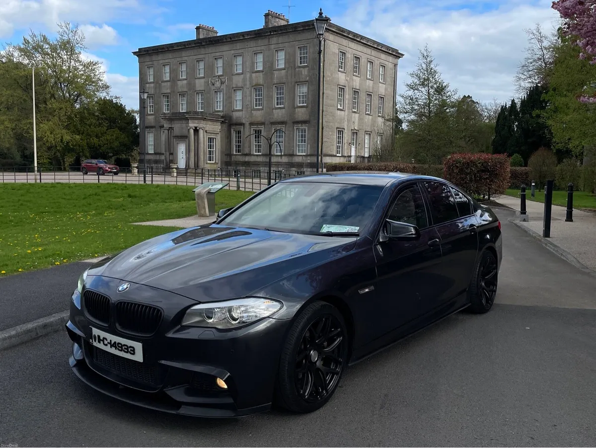 BMW 520d f10 - Image 2