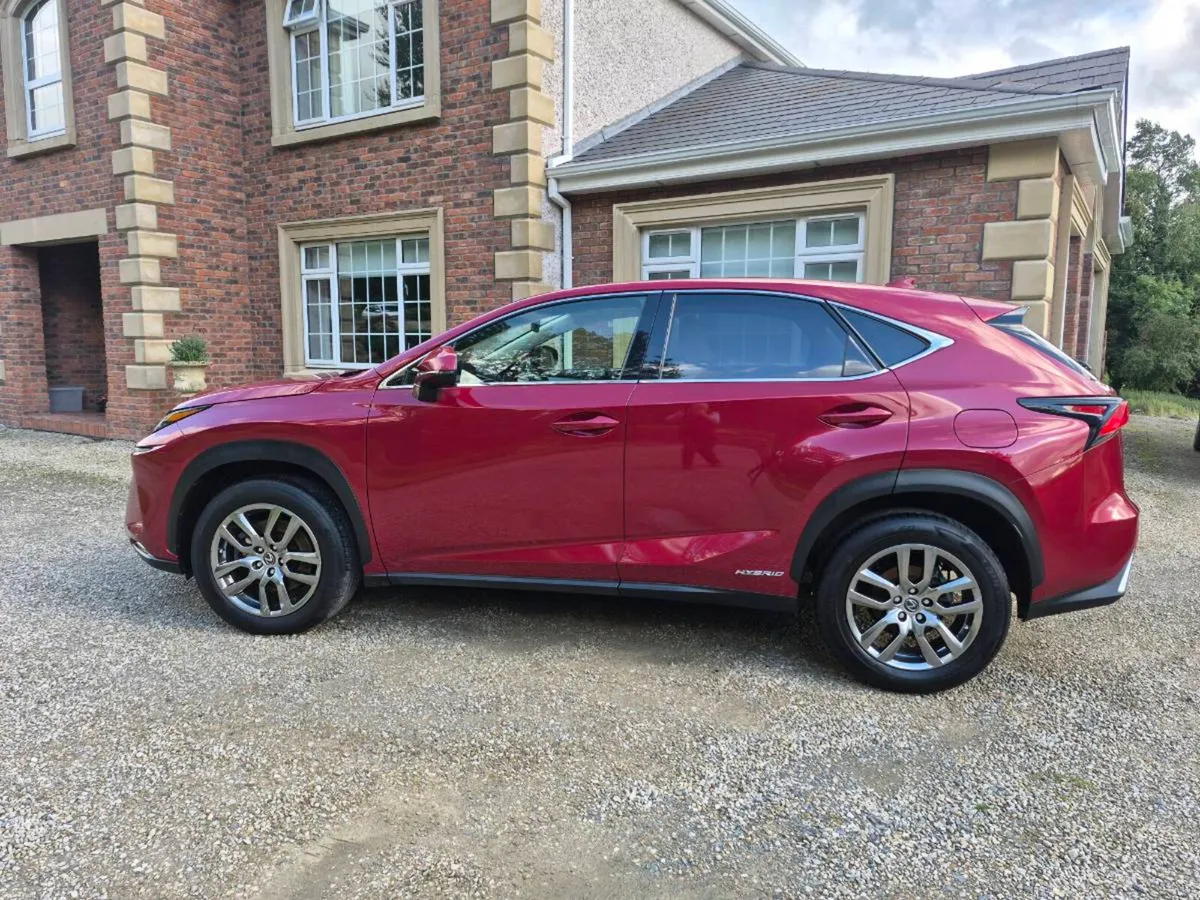 201 Lexus NX300H Executive Hybrid Premium - Image 6