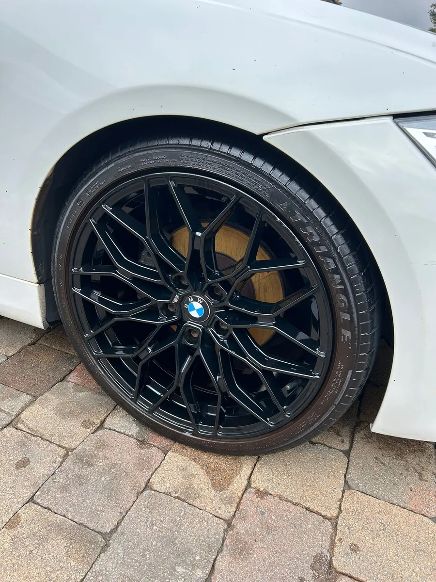 2010 bmw 318d Msport - Image 3