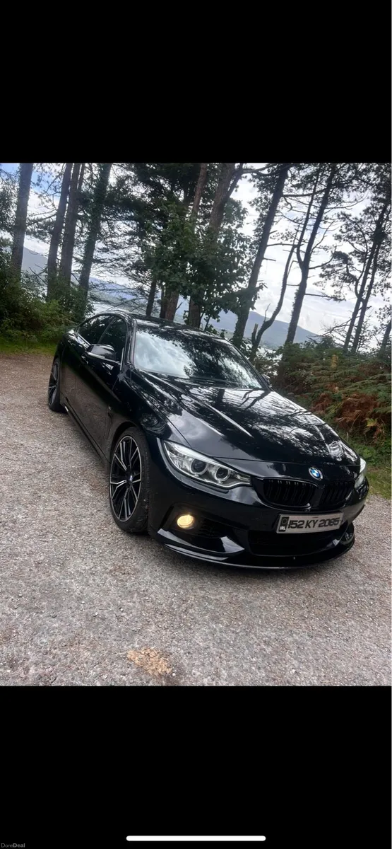 BMW 420d Msport - Image 1