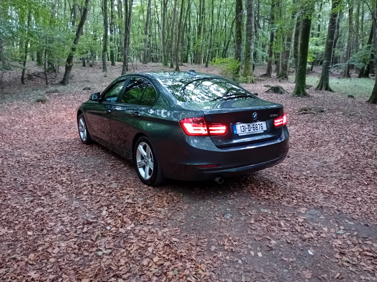 131 BMW 318D SE 6 SPEED SALOON €4,850 BUYS - Image 6