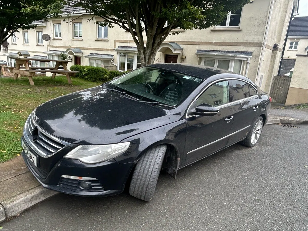 2009 Volkswagen Passat - Image 2