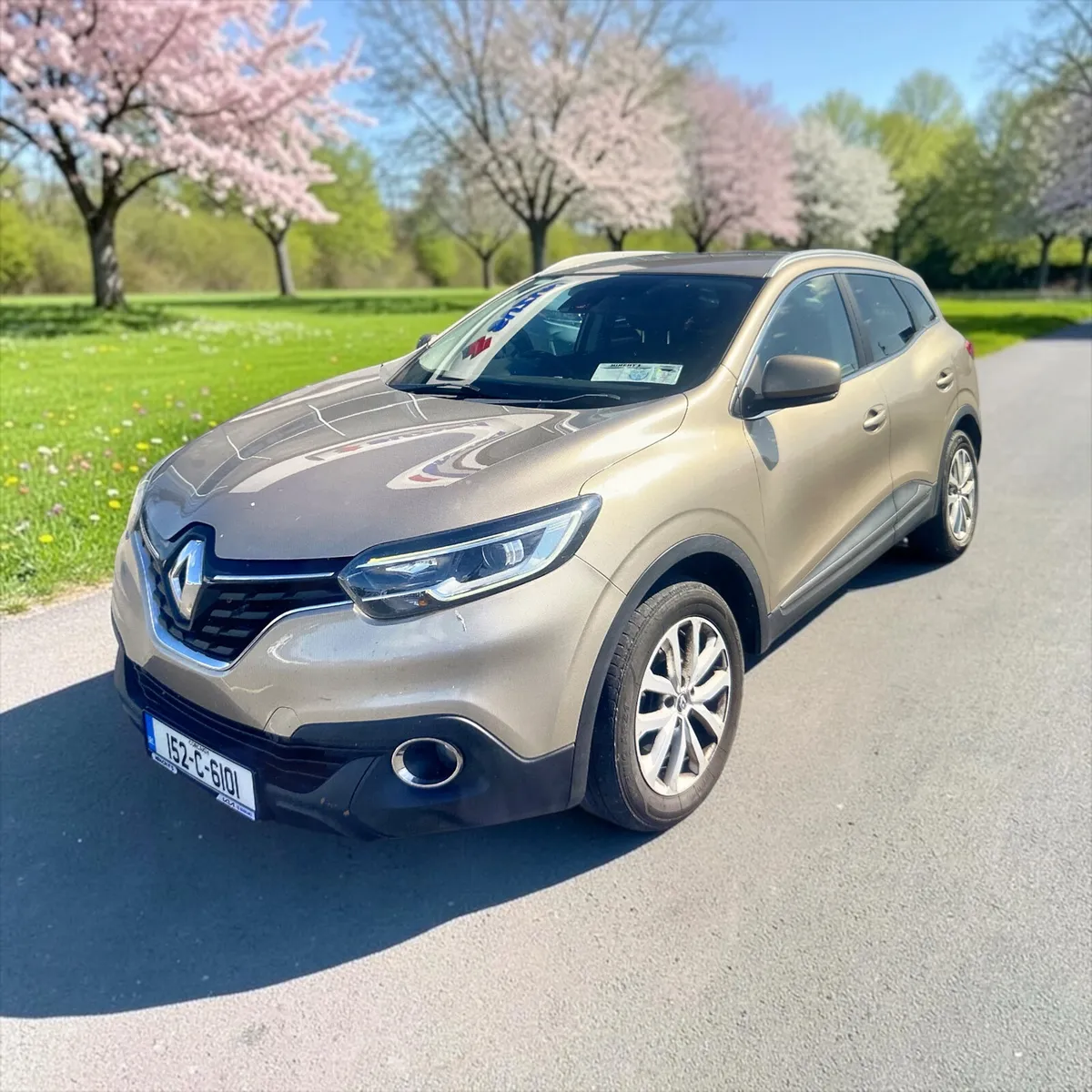 2015 Renault Kadjar 1.5 dCi 110  Dynamique Nav - Image 1