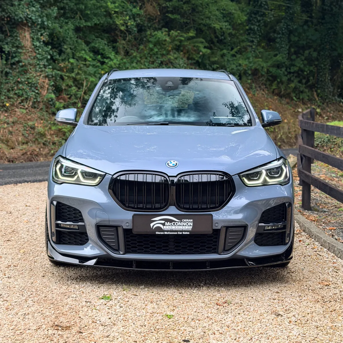 2022 (221) BMW X1 xDrive25e M Sport X-DRIVE - Image 3