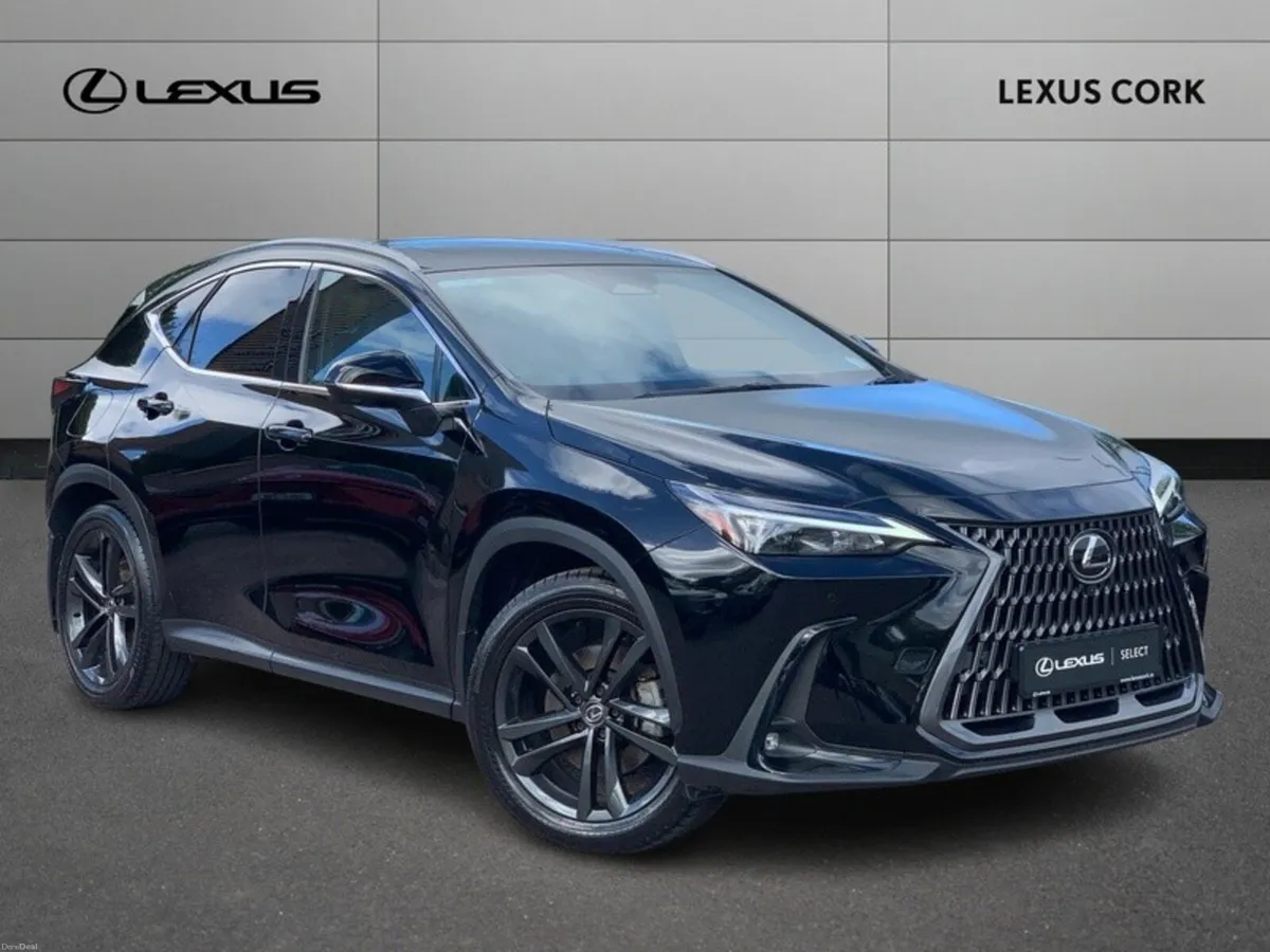 Lexus NX 2.5 - Image 1