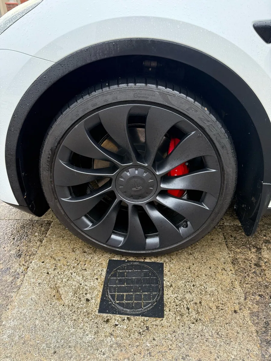 Model Y performance - Image 4
