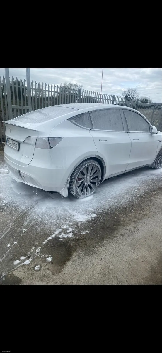 Model Y performance - Image 6