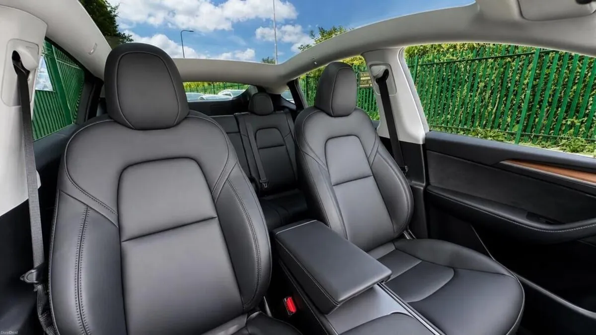 Model Y performance - Image 1