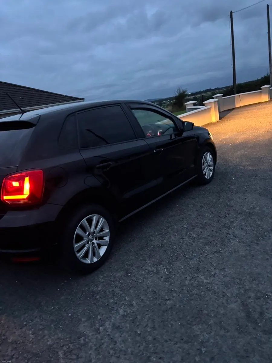 181 1L polo - Image 5