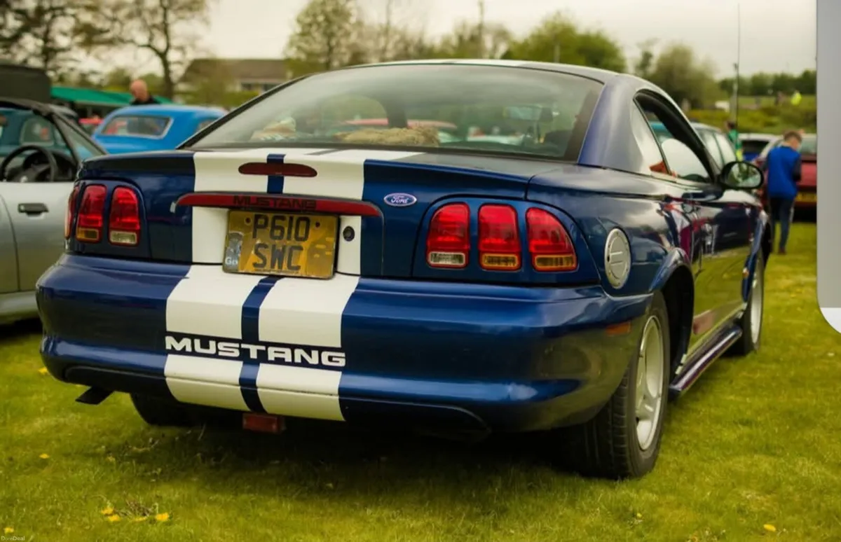 Ford mustang price dtop - Image 3