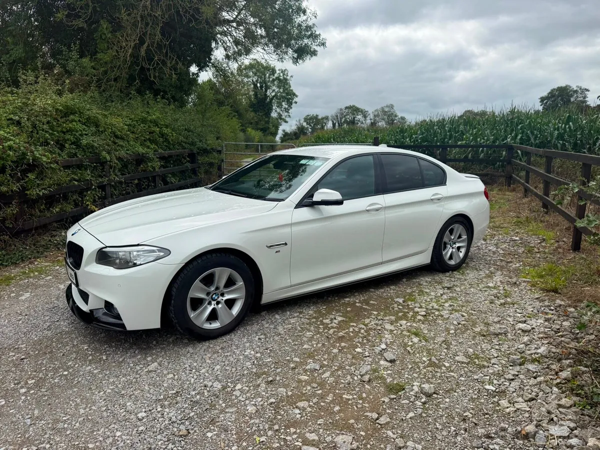 BMW 520 - Image 1