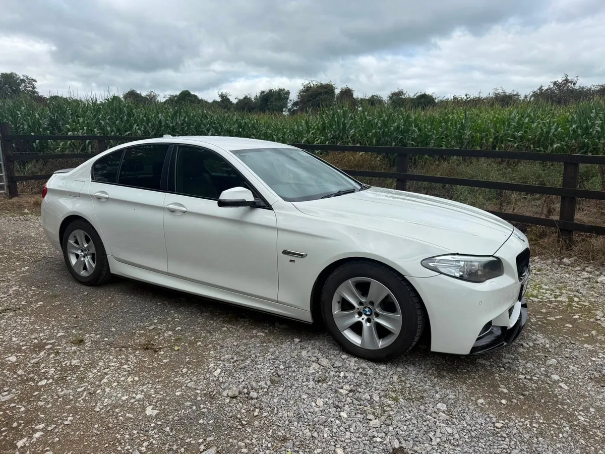 BMW 520 - Image 3