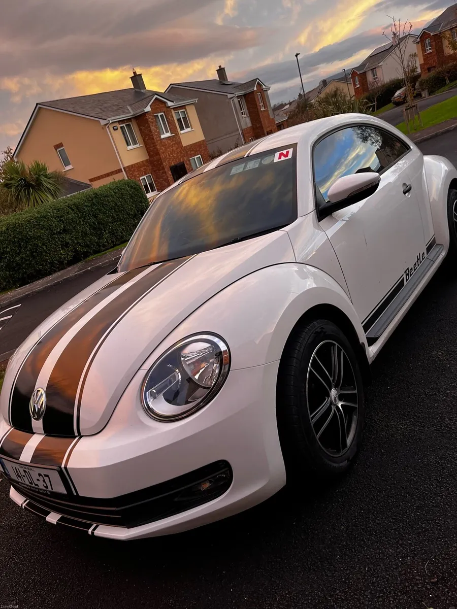 VW Beetle - Image 4