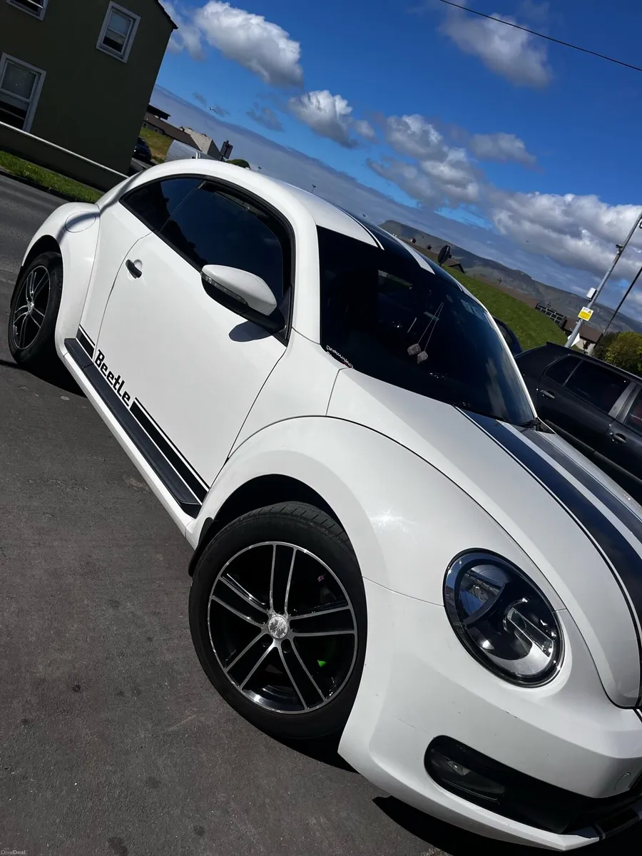 VW Beetle - Image 1