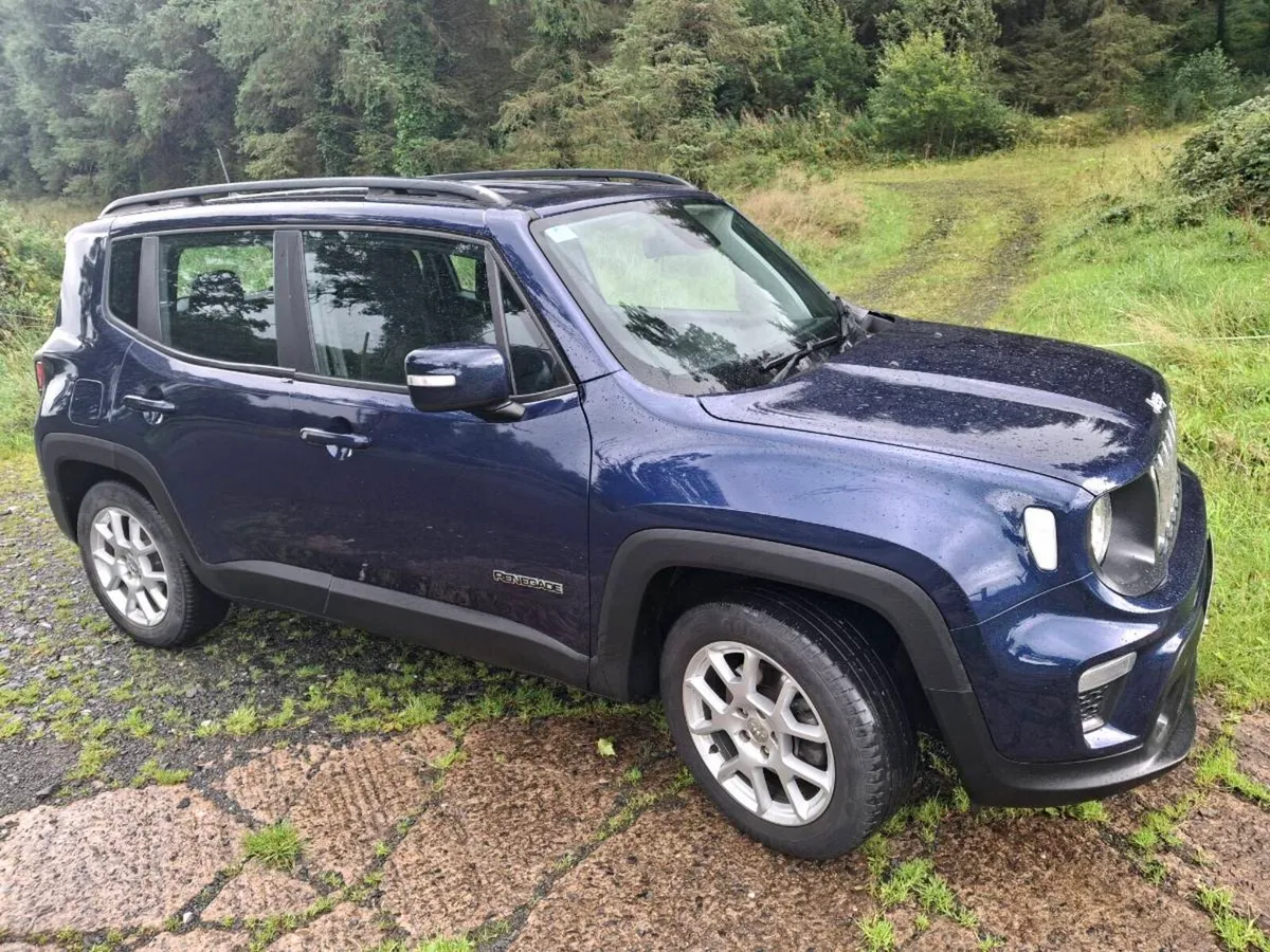 Jeep Renegade - Image 2
