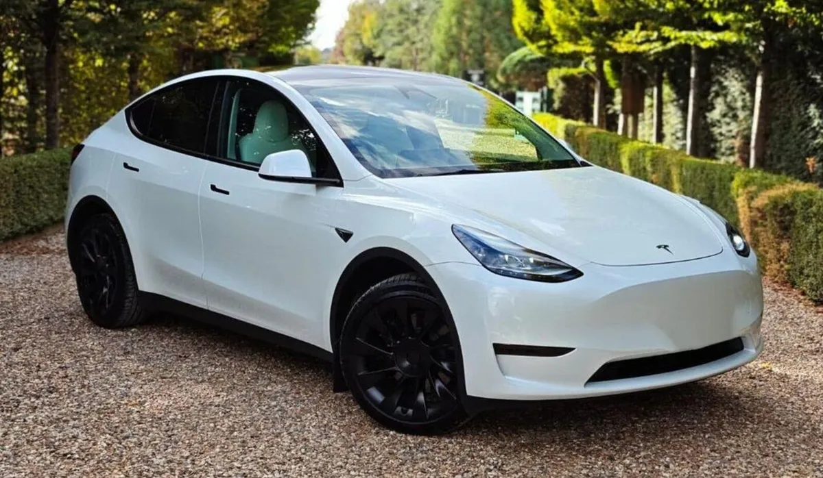 242 Tesla Model Y RWD - Image 1