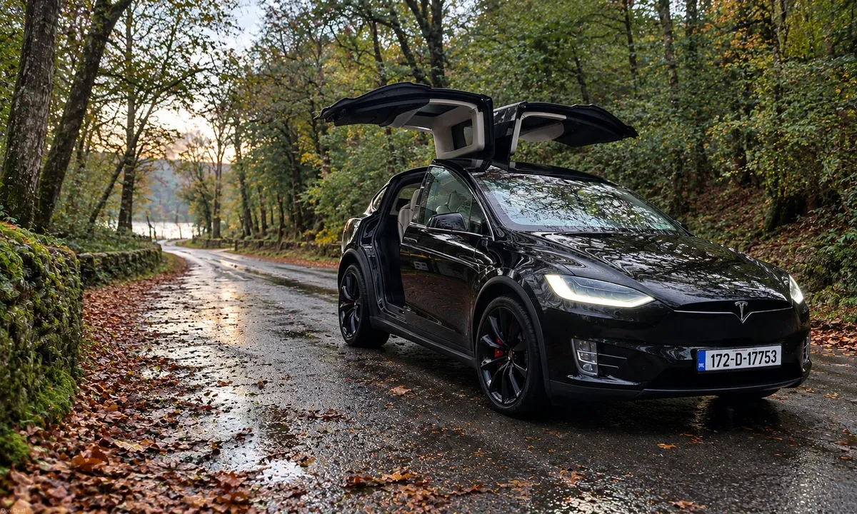 Tesla Model X LUDICROUS PLUS P100D  2029 WARRANTY - Image 1