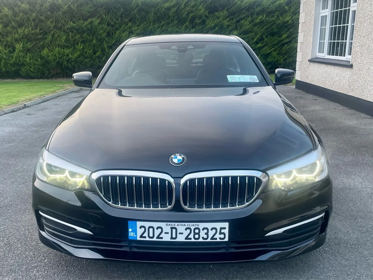 2020 (202) BMW  520d  SE  automatic.low KMs - Image 6