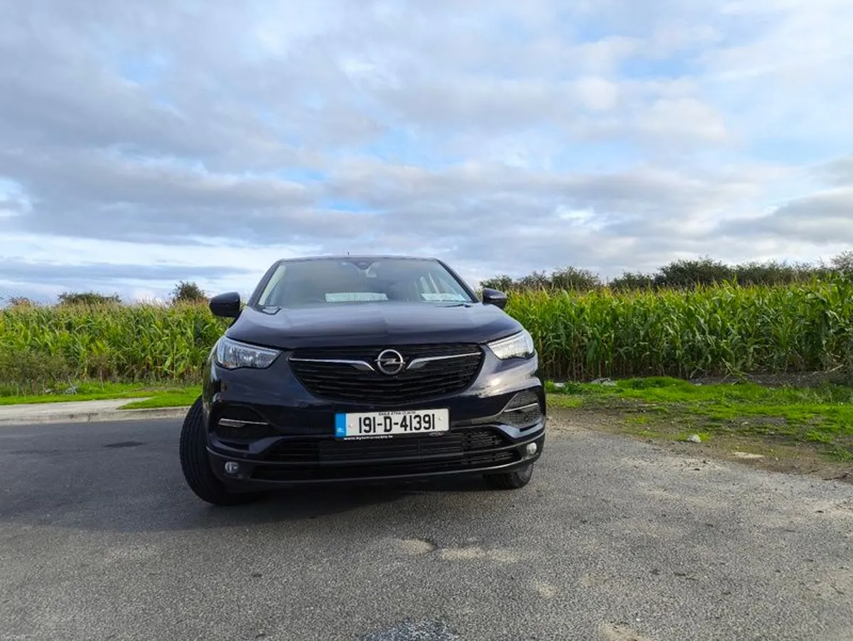 2019 Opel Grandland X - Image 2