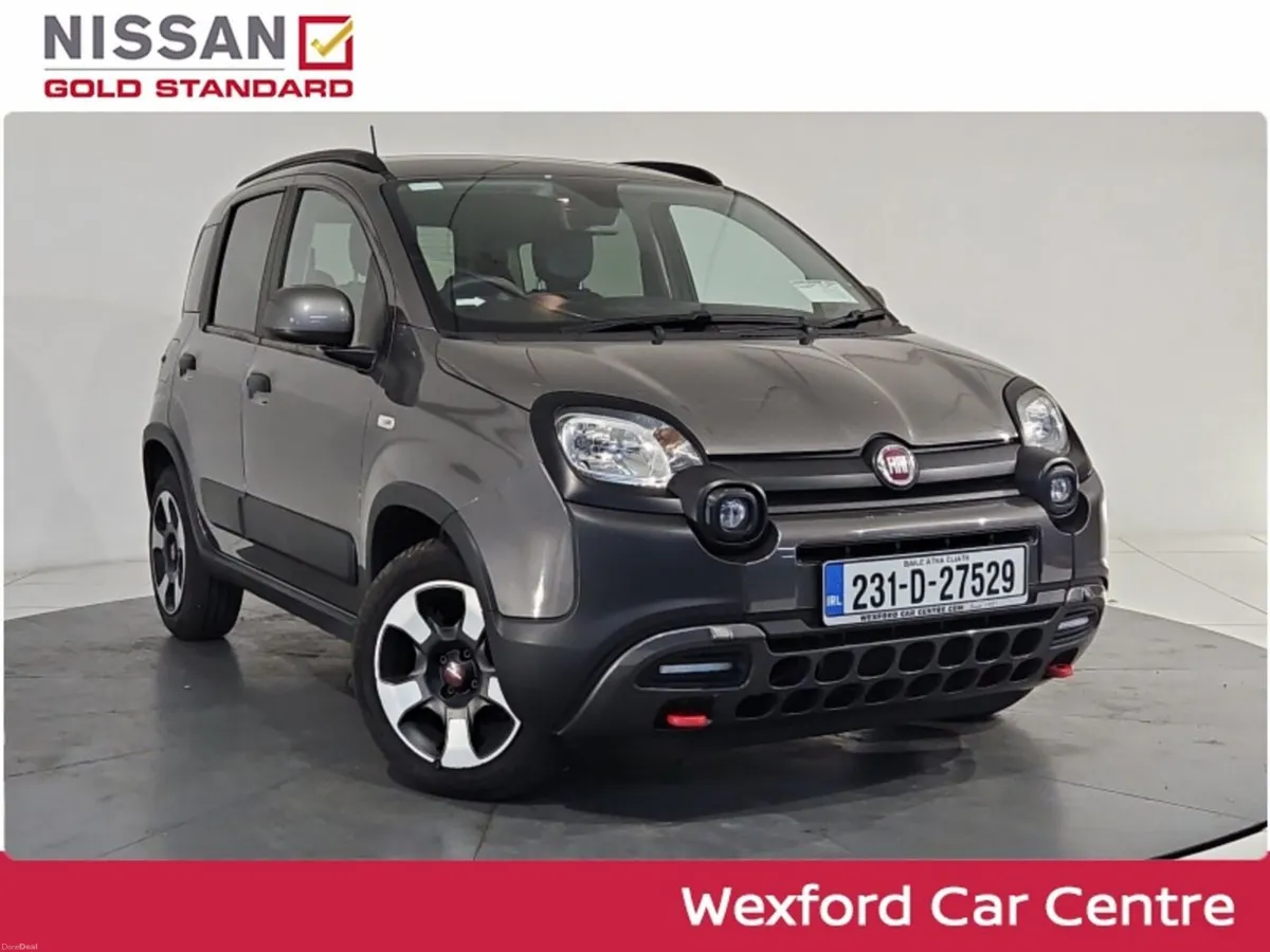 Fiat Panda 1.0 Cross - Image 1