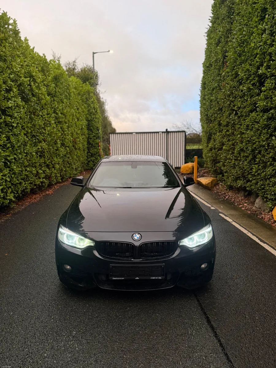 2016 BMW 420D M SPORT AUTO - Image 2