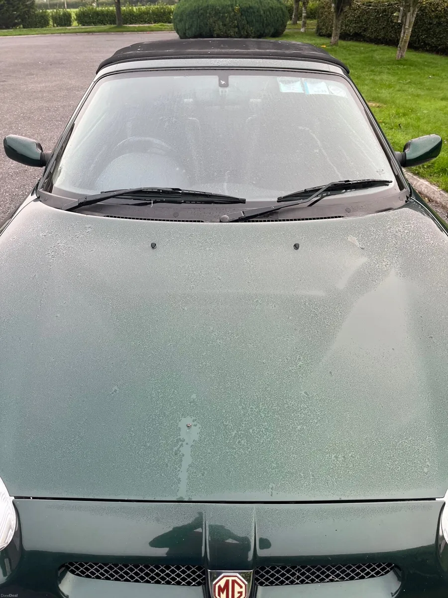 MG 2001 - Image 2